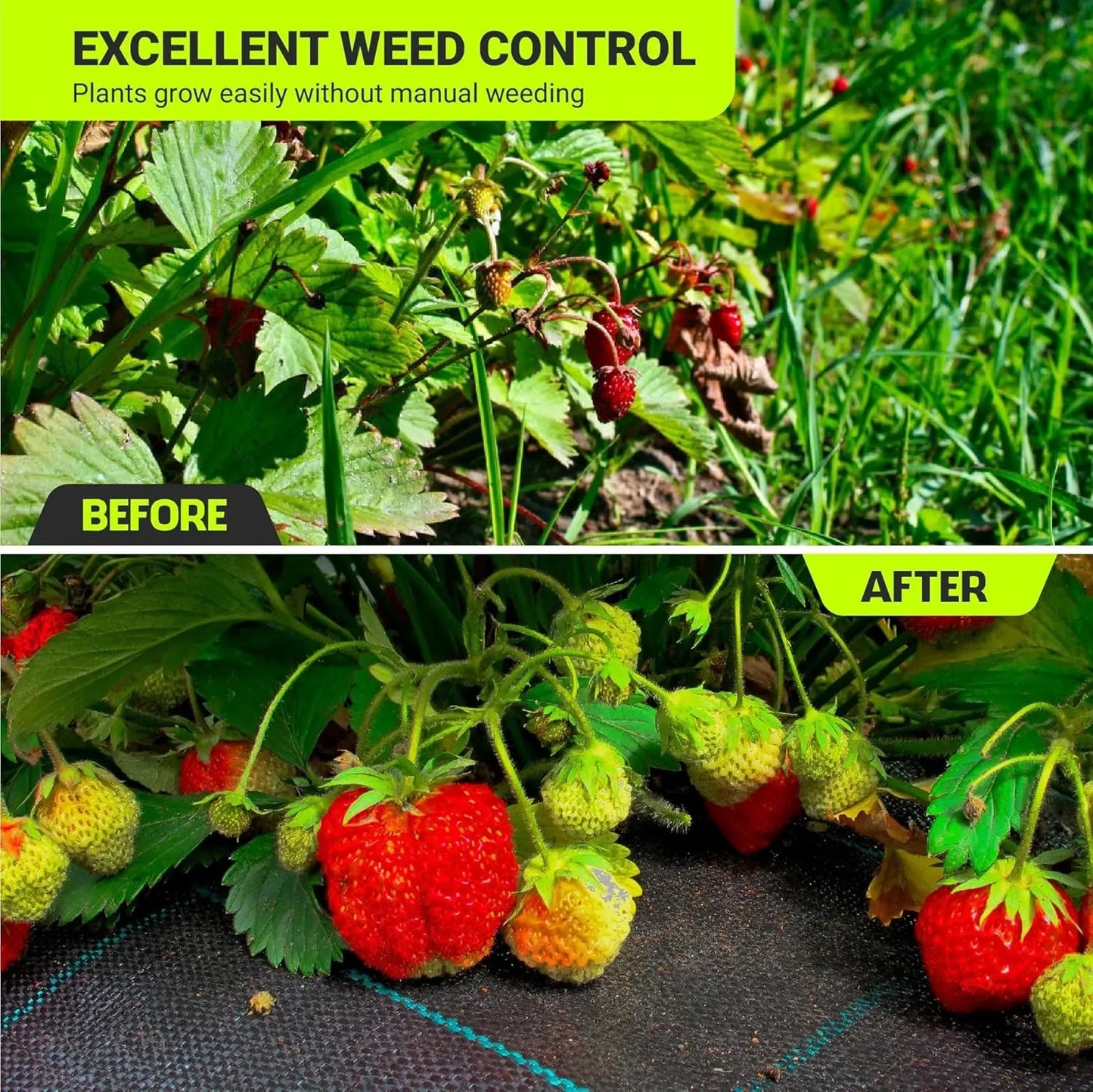 Heavy-Duty Weed Barrier Fabric–4x180ft