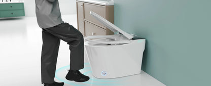 Smart Toilet with Bidet Built In, AUTO Deodorization, Voice Control