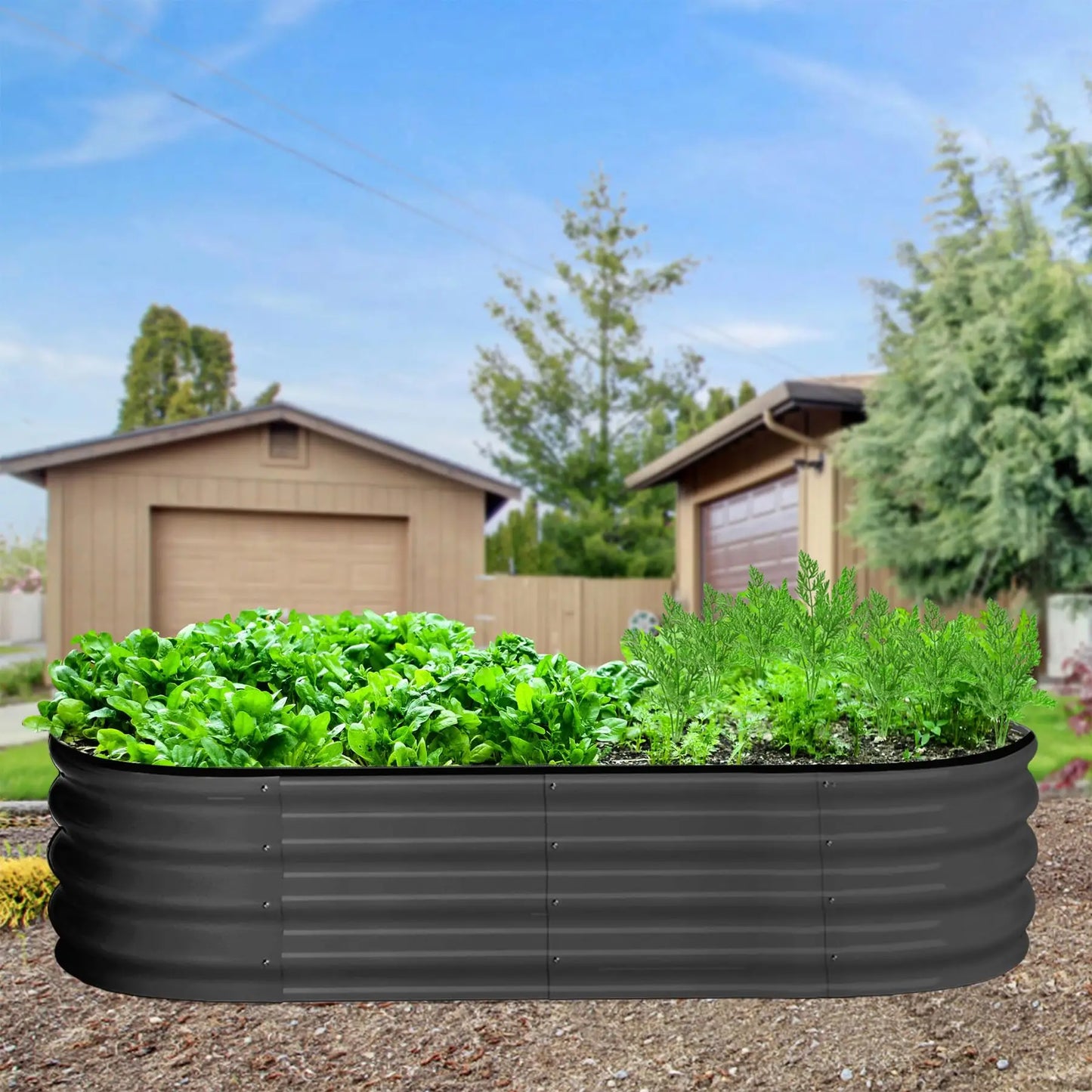 2-Pack Oval Galvanized Steel Raised Garden Bed- Open Base/Safety Edge