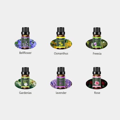 6-Piece Premium Natural Essential Oil Set