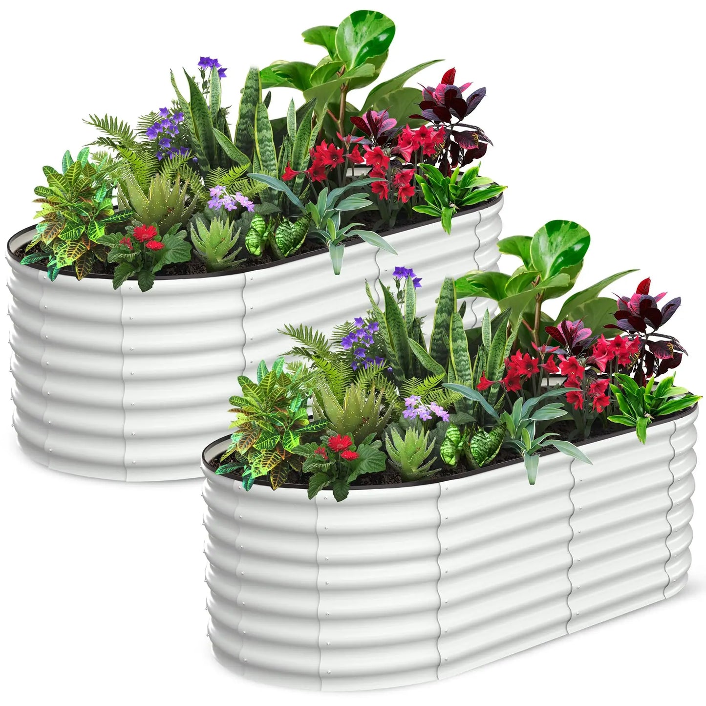 2-Pack Oval Galvanized Steel Raised Garden Bed- Open Base/Safety Edge