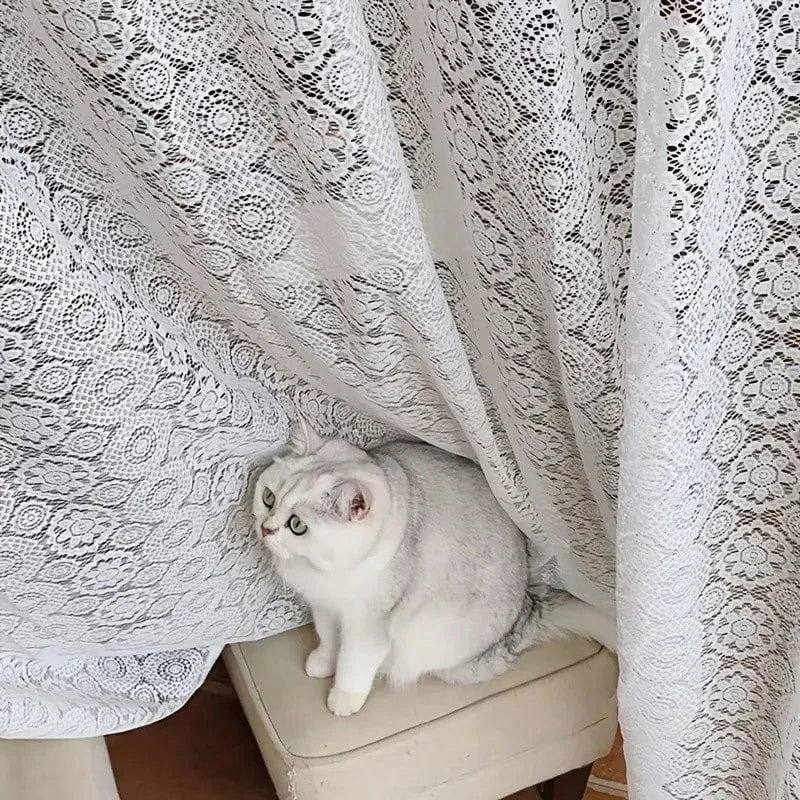2pcs white lace embroidered mesh knitted sheer curtains.