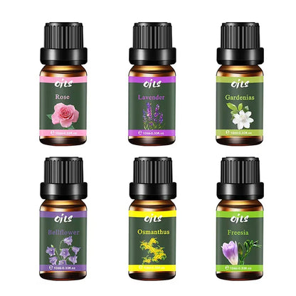 6-Piece Premium Natural Essential Oil Set
