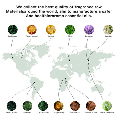 100ML Perfume/Pure plant essential oil Fragrance Diffuser Air Purifier