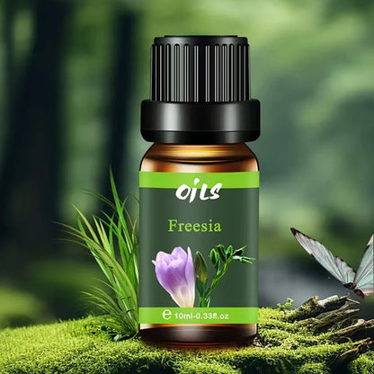 6-Piece Premium Natural Essential Oil Set